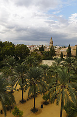 Image showing Cityscape of Cordoba, Spain