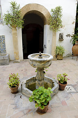 Image showing Palacio de Viana - Typical Andalusian patio