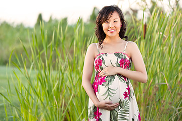 Image showing Pregnant asian woman