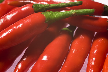 Image showing hot chili peppers 