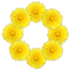 Image showing Frame as ring of yellow flowers