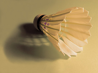 Image showing Shuttlecock and shadow