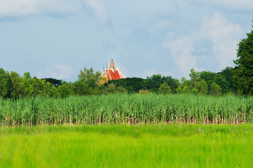 Image showing Rural landscape with temple in Thailand