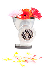 Image showing Conceptual photo with flowers