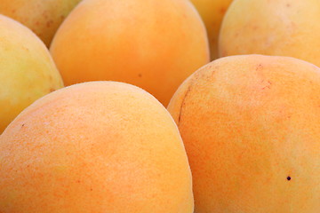 Image showing The apricots