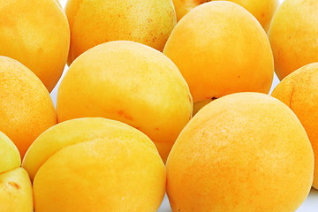 Image showing The apricots