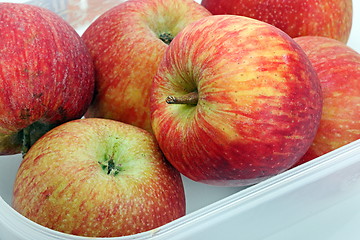 Image showing Red apples