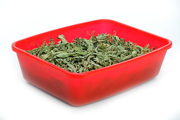 Image showing The verbena herbal tea