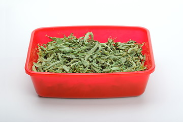 Image showing The verbena herbal tea