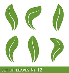 Image showing Illustration of leaves set for design