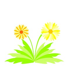 Image showing Illustration spring flowers 