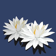 Image showing Lotus is isolated on blue background