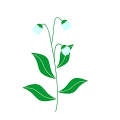 Image showing Illustration of lily of the valley