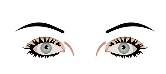 Image showing Realistic illustration of eyes are isolated on white background