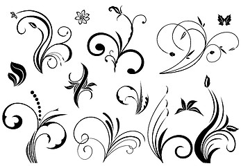 Image showing Floral vector elements