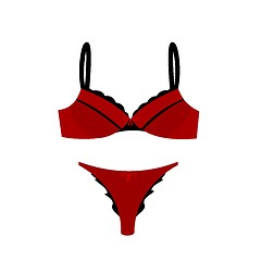 Image showing Women's sexy lingerie