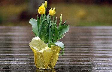 Image showing tulips