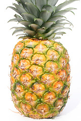 Image showing Pineapple