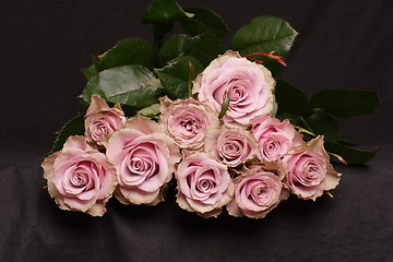 Image showing Pink roses