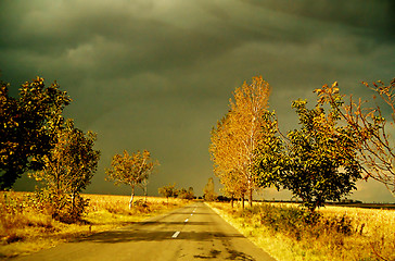 Image showing In line road in autumn