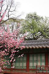 Image showing Korean palace