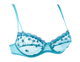 Image showing Blue feminine bra