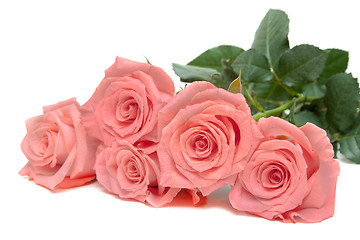 Image showing Three roses lies