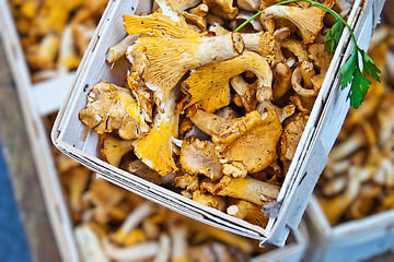 Image showing Market Mushrooms