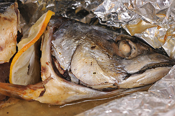 Image showing Mackerel
