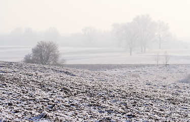 Image showing Hazy winter landscape