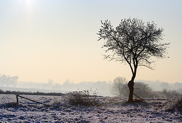 Image showing Hazy winter landscape