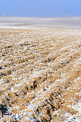 Image showing Plowed field in winter