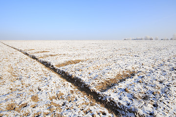 Image showing Fields in winter