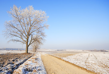 Image showing Winter landscape