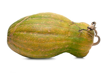 Image showing Calabash pumpkin