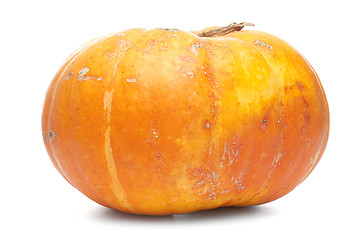 Image showing Orange pumpkin 