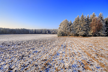 Image showing Winter landscape