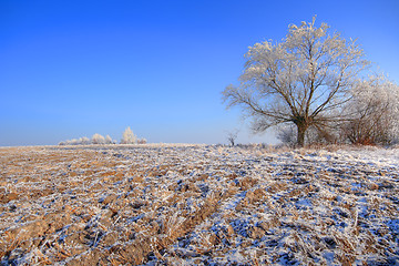 Image showing Winter landscape