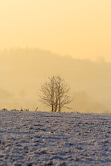 Image showing Hazy winter morning