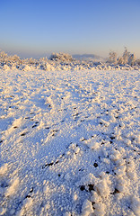 Image showing Winter landscape