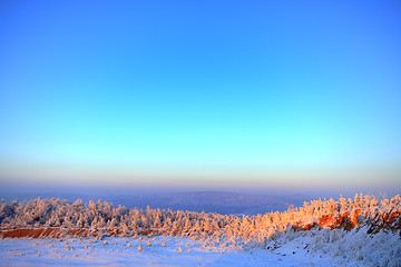 Image showing Hazy winter landscape