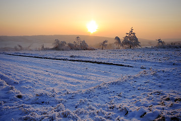 Image showing Winter sunset