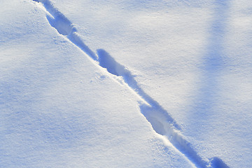 Image showing Fresh snow with animal track