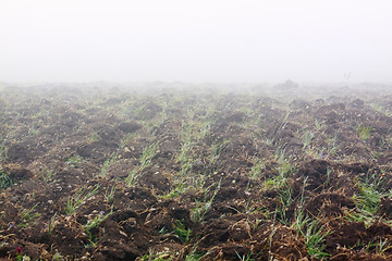 Image showing Ploughed field in fog