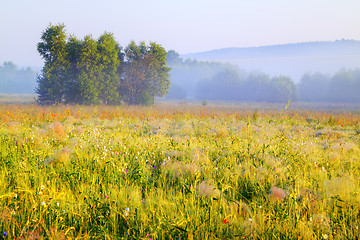 Image showing Hazy morning