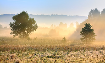 Image showing Foggy morning