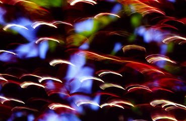 Image showing blur nature impression