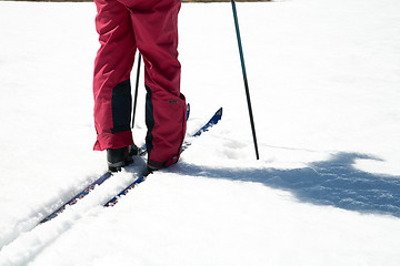 Image showing skiing