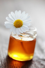 Image showing herbal honey