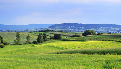 Image showing Wavy fields landscape